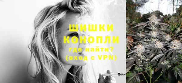 винт Касимов