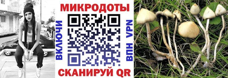даркнет сайт  Каневская  Псилоцибиновые грибы прущие грибы 